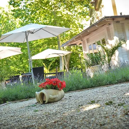 Bed and breakfast Jokai 3*