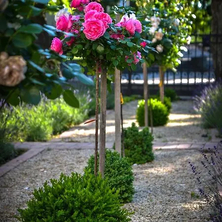 住宿加早餐酒店 Jokai