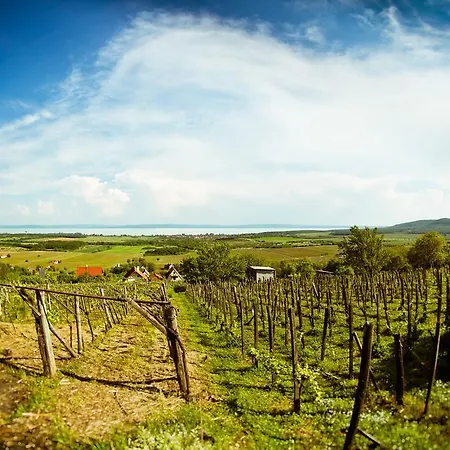 Bed and breakfast Jokai Siófok