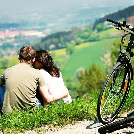 住宿加早餐酒店 Jokai