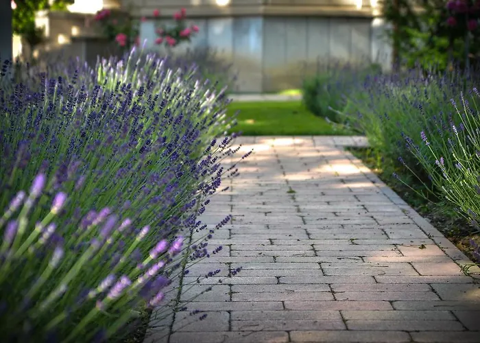 Bed & Breakfast Jokai 3*