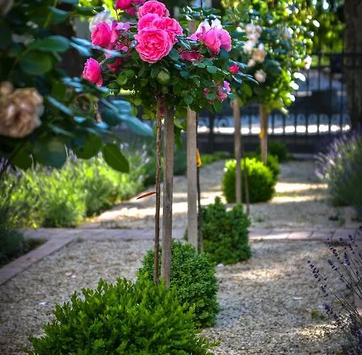 Bed & Breakfast Jokai